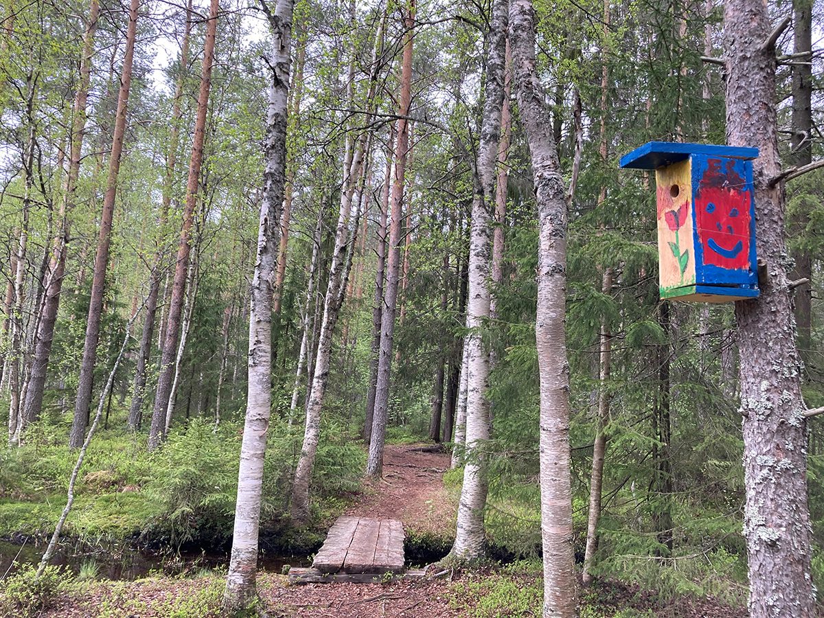 Linnunpönttö elämyspolun varrella olevassa puussa.